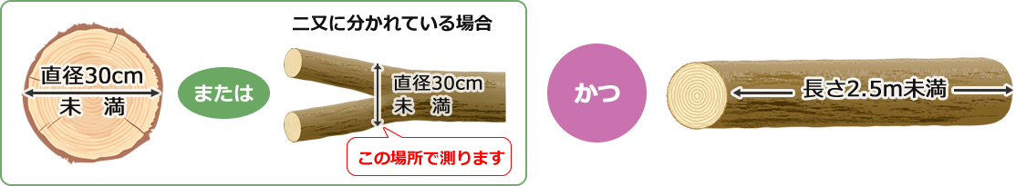 幹材の規格